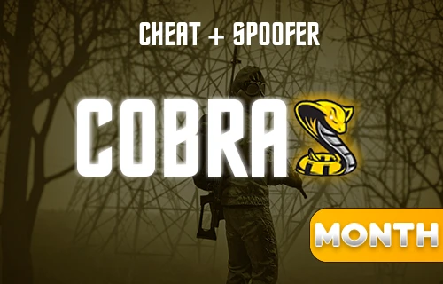 Cobra DayZ - 30 Day key