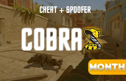Cobra CS2 - Month key