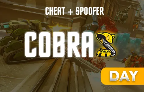 Cobra Overwatch 2 - Day key