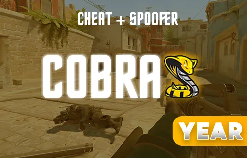 Cobra CS2 - Year key
