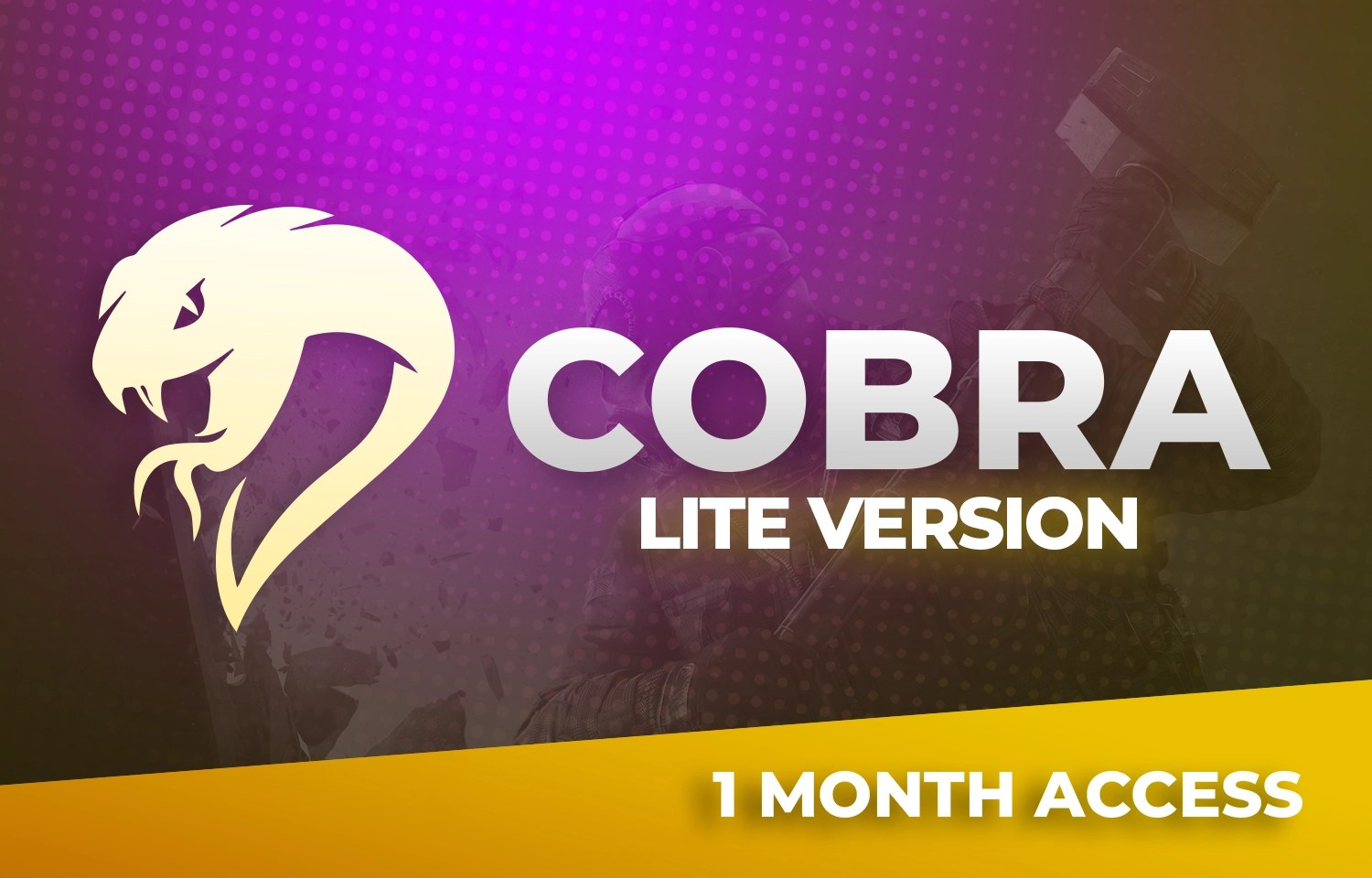 Cobra R6S Lite - 30 Day key