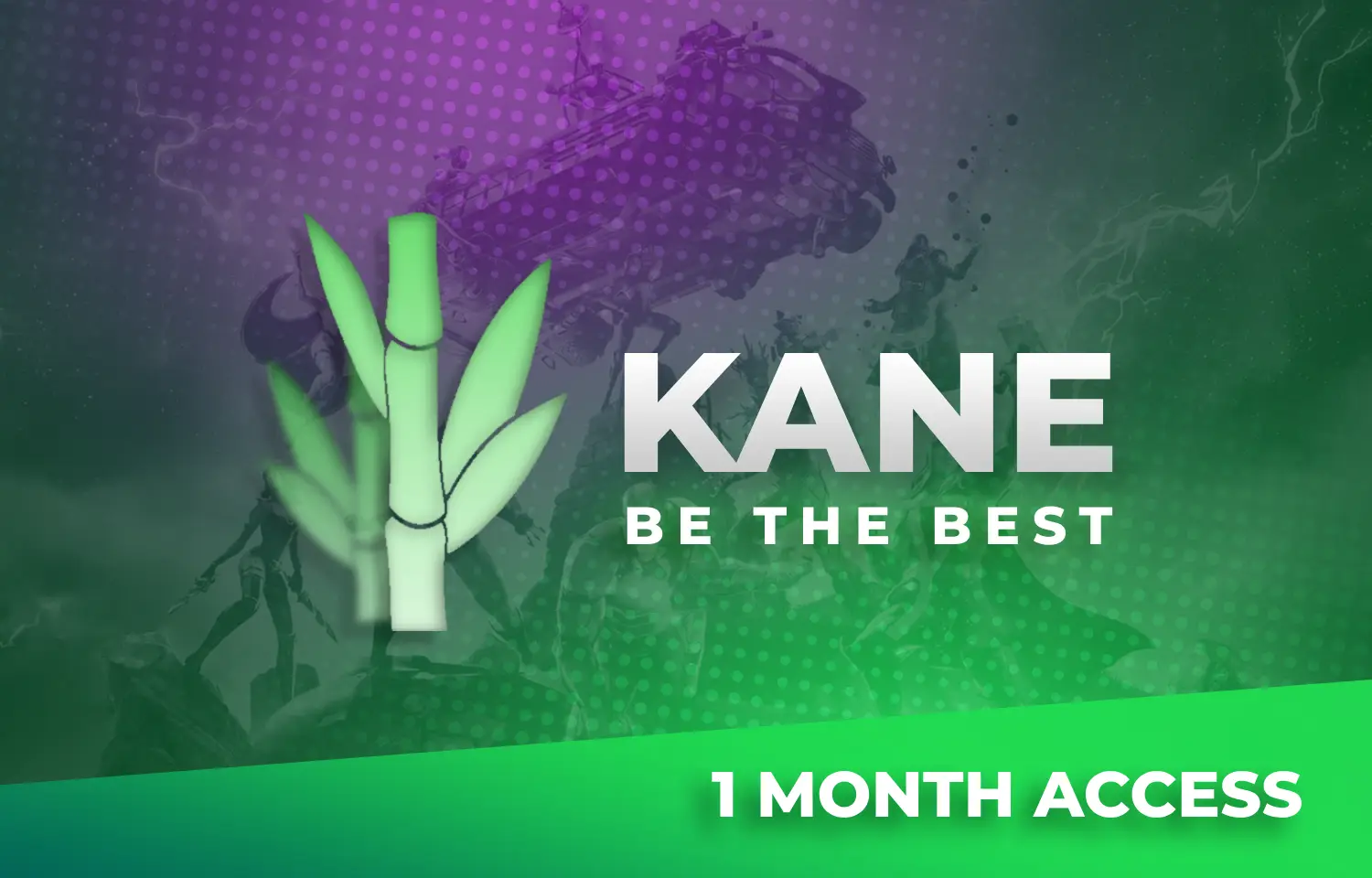 Kane Fortnite - Month key