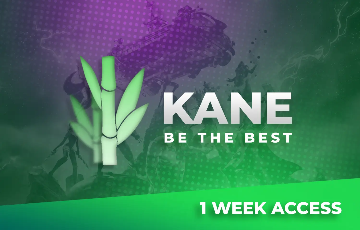 Kane Fortnite - Week key