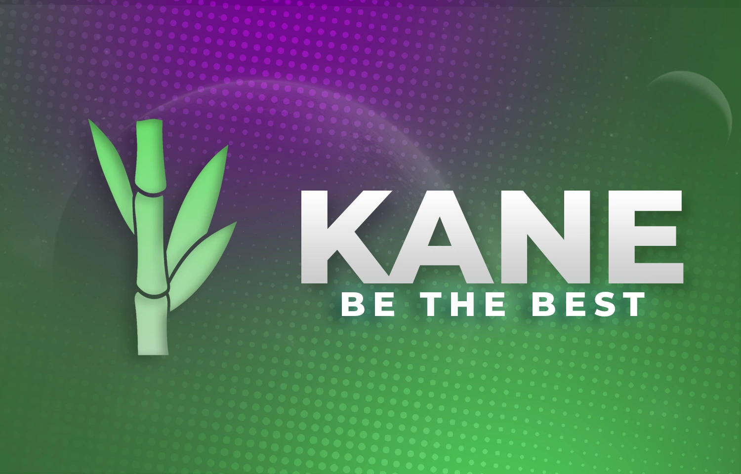 Kane Fortnite