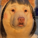 modmovi