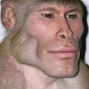 modmovi