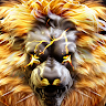 KING KING